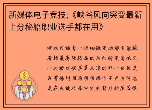 新媒体电子竞技;《峡谷风向突变最新上分秘籍职业选手都在用》